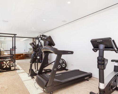 Gimnasio